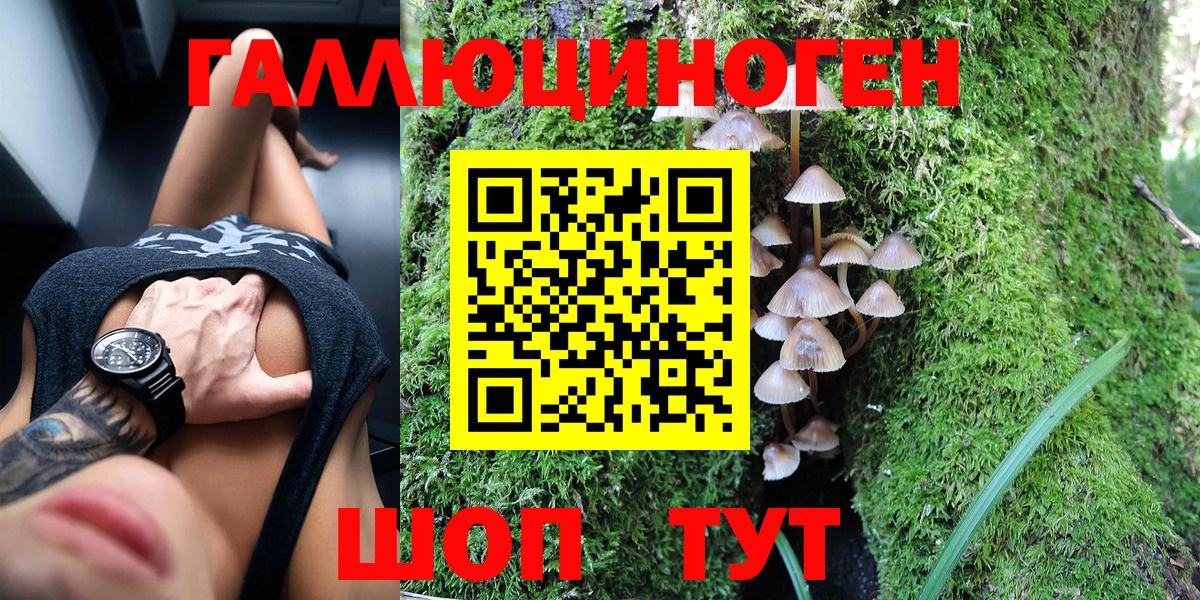 Галлюциногенные грибы Psilocybe  Вход с VPN  Ноябрьск 