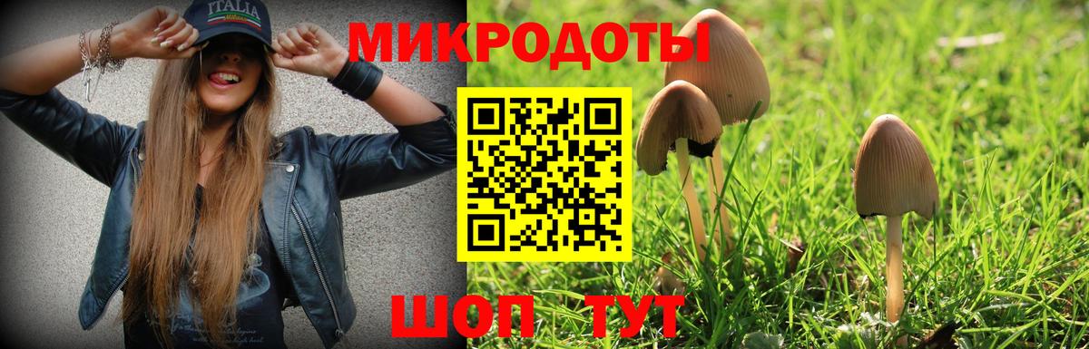 Галлюциногенные грибы прущие грибы Ноябрьск